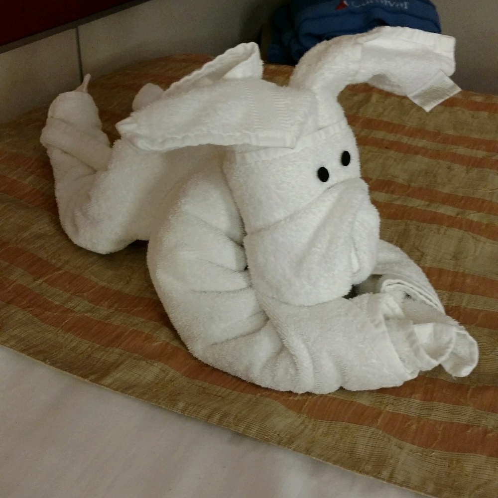 Meet your Posher, Jacquelyn